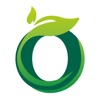 Optimeo icon