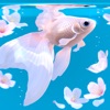 RYUKIN icon
