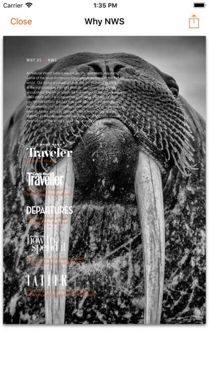 Natural World Safaris screenshot-3