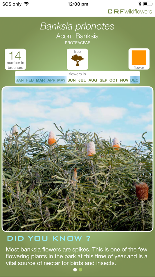 #2. CRFwildflowers (iOS) 由: Northern Agricultural Catchments Council Inc.