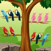 Bird Sort - Color Puzzle Games icon