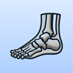 距下关节稳定术