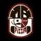 Mr Pizza mobile app