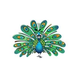 Proud peacock doodles