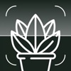 Tree & Plant Identifier app icon