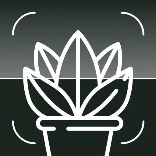Tree & Plant Identifier app