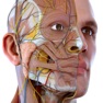 Get Visual Anatomy 3D - Human Body for iOS, iPhone, iPad Aso Report
