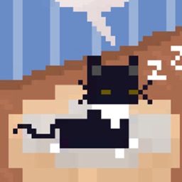 Cat Telat Jump