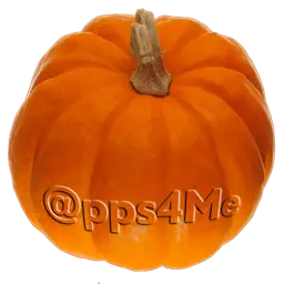 Pumpkin Weight Calculator app icon
