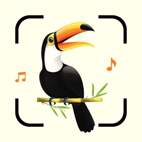 螢幕擷取畫面 (6) Bird Song Identifier Sounds ID