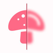 Mushroom Identifier: Photo ID