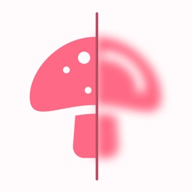 螢幕擷取畫面 (6) Mushroom Identifier: Photo ID