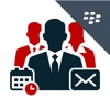 ISEC7 MAIL for BlackBerry icon