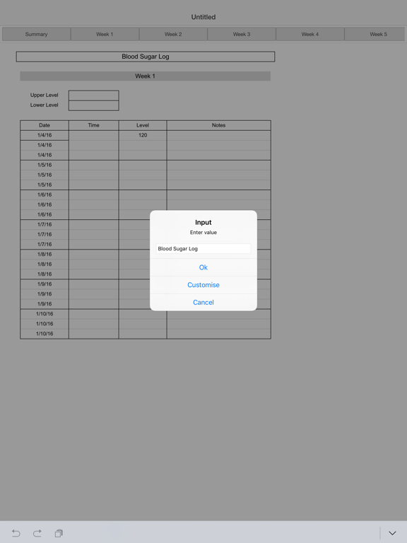 Blood Sugar Log iPad screenshot