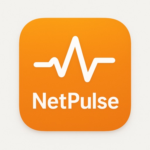 NetPulse WiFi Check & Clean