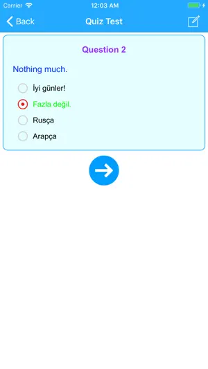 Learn Turkish Language Offline screenshot 4