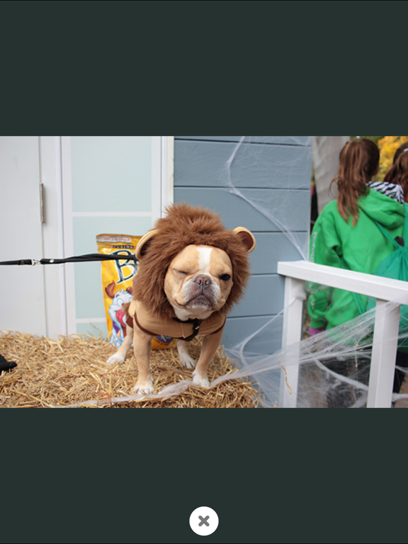 Zoom, Enhance! iPad screenshot 4 - Utilities app