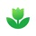 Plant App: Plant Identifier