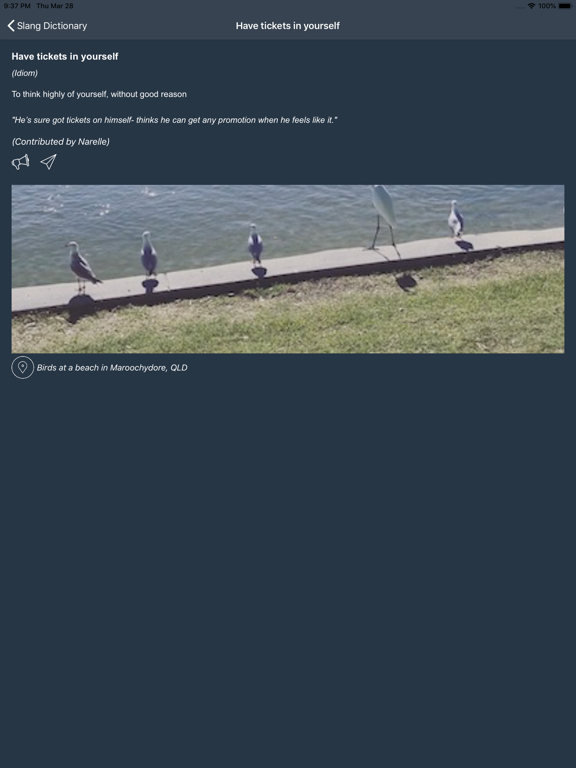 Strayamate Aussie Slang & more iPad screenshot 7 - Reference app