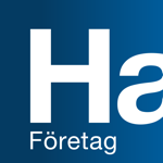 Handelsbanken SE – Företag на пк