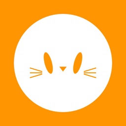 Cattify
