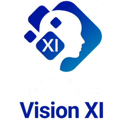 VisionXI