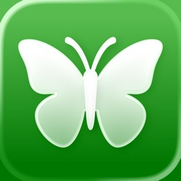 Identification Papillons: IA