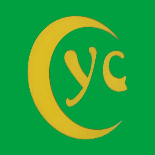 日日挑