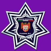 Botón Morado - Tijuana