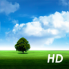 Weather Motion HD - Alexandre Morcos