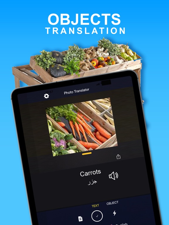 Translate Snap Scan Translator iPad screenshot 10 - Utilities app