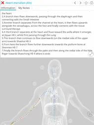 Visual Acupuncture 3D ipad bilder 1