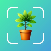 식물 식별기 Plantico
