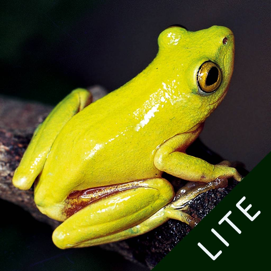 Get Frogs of Southern Africa LITE for iOS, iPhone, iPad Aso Report