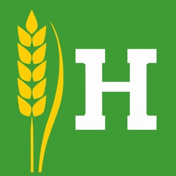 Hue Négoce