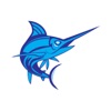 Sailfish Swim Academy icon