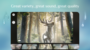 Rainy Sleep Rain Sounds HQ 3D screenshot