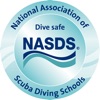 NASDS icon