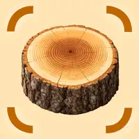 Wood Identifier - AI Scanner
