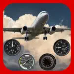 RLM-Flight App Cancel