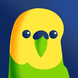 Budgi