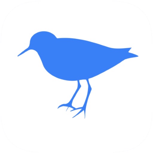 healthPiper 4.15.2025