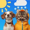 Weather Pet - Local Forecast icon