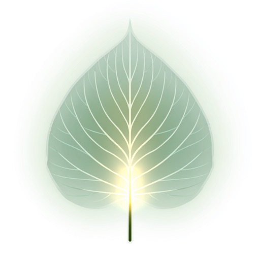 BuddhaUR: Find Peace