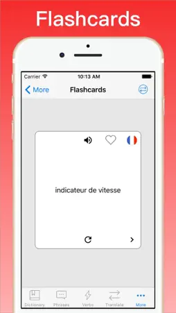 French Translator Dictionary + screenshot 7