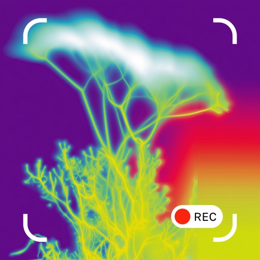 Thermal & Night Vision Camera