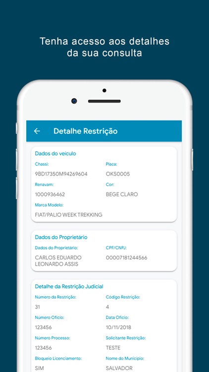 SOL DESPACHANTE screenshot-3