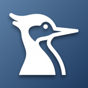 ADHD Trial Reminder - Woody