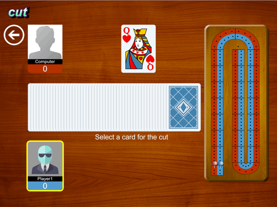 Screenshot #5 pour Cribbage JD