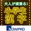 大人が頑張る！小学生漢字